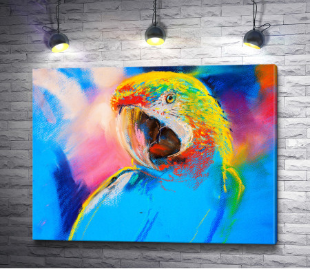 Разноцветный попугай 