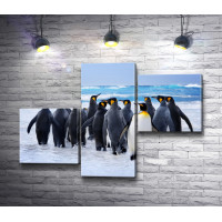 Пингвины на прогулке