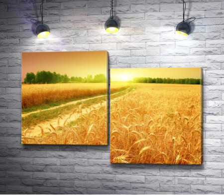 Дорога и пшеничное поле