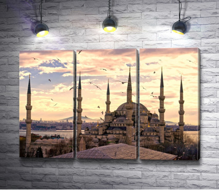 Голубая мечеть на рассвете. Стамбул