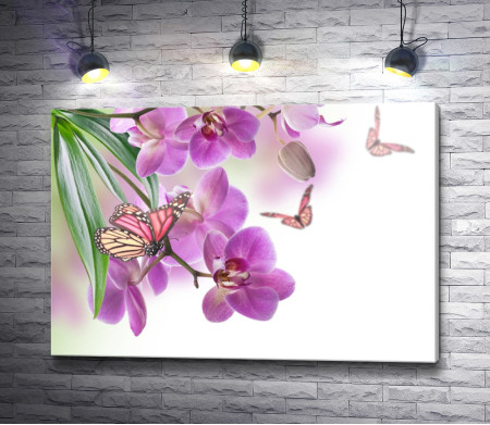 Бабочки на орхидеях