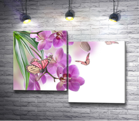 Бабочки на орхидеях
