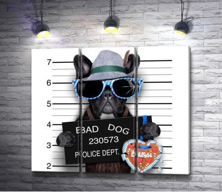 Bad dog в полиции