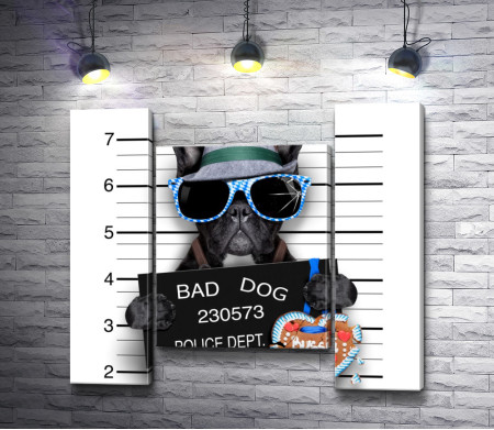 Bad dog в полиции