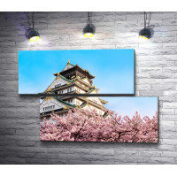 Замок Осака в цветах сакуры