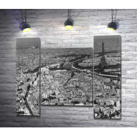 Париж. Черно-белая панорама с Эйфелевой башней