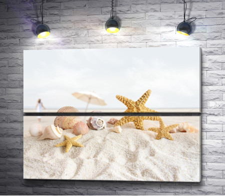 Морские ракушки на песке