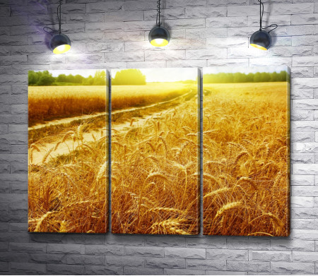 Дорога в пшеничном поле