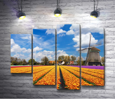 Цветочное поле и мельница в Голландии
