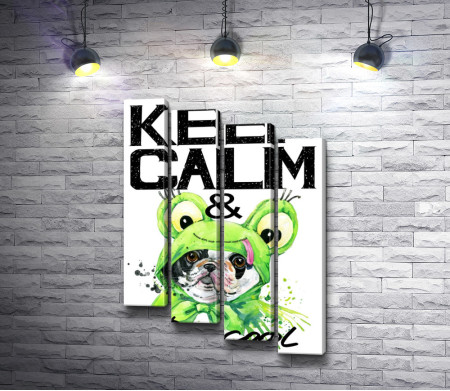 Надпись "Keep Calm & be cool" с собакой в костюме лягушки. Мотивационный постер