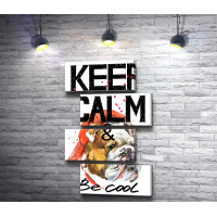 Постер "Keep Calm & be cool" с бульдогом в кепке