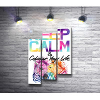 Постер "Keep Calm & colour life" с разноцветными зебрами