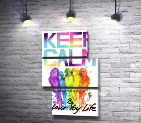 Яркий постер "Keep Calm & colour life" с разноцветными попугаями 