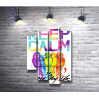 Яркий постер "Keep Calm & colour life" с разноцветными попугаями 