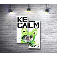 Плакат "Keep Calm & Be Positive" с собакой в костюме лягушки