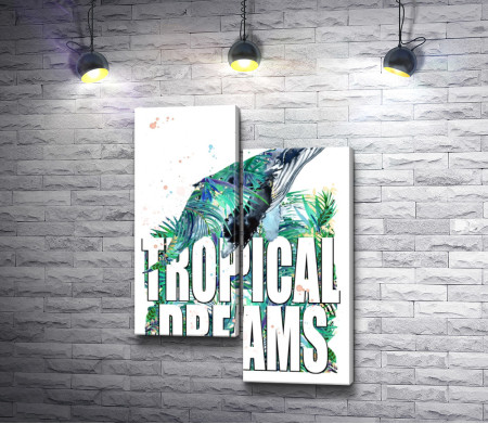 Кит, тропики и "Tropical Dreams"