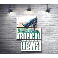 Синий кит: "Tropical Dreams"
