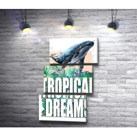 Синий кит: "Tropical Dreams"