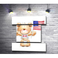 Мишка с флагом США