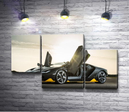 Lamborghini с откидными дверями  