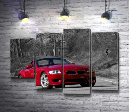 Красная BMW Z4 в черно-белом парке