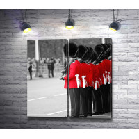 Гвардейцы королевского двора, Лондон, черно-белое фото с цветным акцентом