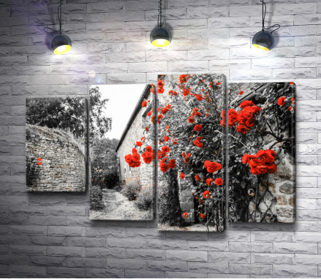 Красные вьющиеся цветы на черно-белой стене