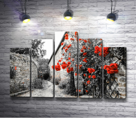 Красные вьющиеся цветы на черно-белой стене