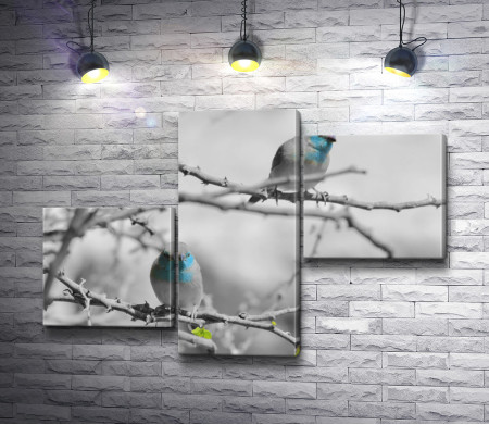 Снегири на дереве, черно-белое фото