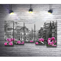 Розовые тюльпаны на фоне Амстердама в черно-белой гамме