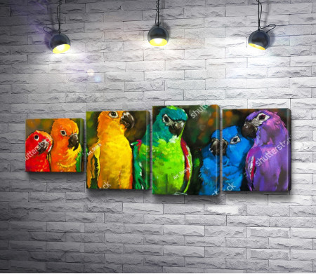 Радужные попугаи
