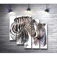 Две зебры в дикой природе