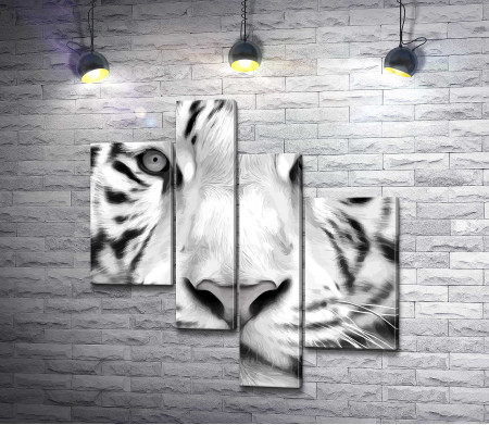 Морда белого тигра крупным планом,  черно-белое иллюстрация
