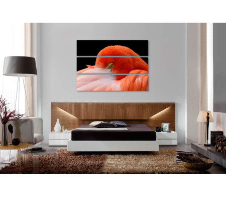 Оранжевый фламинго