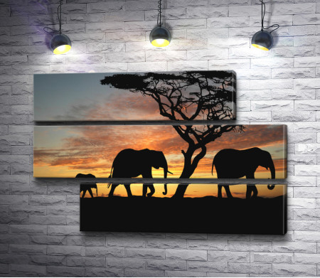 Слоны в африканской Саванне вечером