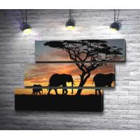 Слоны в африканской Саванне вечером