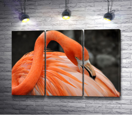 Изящный оранжевый фламинго