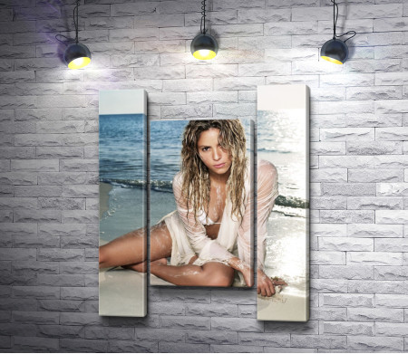 Певица Шакира на морском побережье