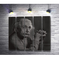 Величайший ученый Альберт Эйнштейн. Черно-белый снимок