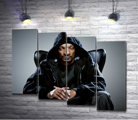 Американский рэпер Снуп Догг (Snoop Dogg)