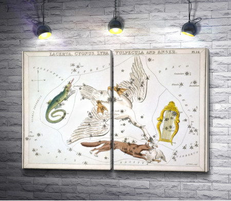 Сидни Холл, "Зеркало Урании - Ящерица, Лебедь, Лира, и Лисичка с Гусем"