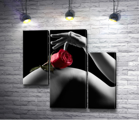 Красная роза на фоне стройных ног, черно-белое фото 