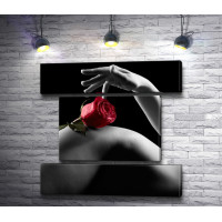 Красная роза на фоне стройных ног, черно-белое фото 