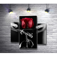 Оголенная девушка держит розу, черно-белое фото 