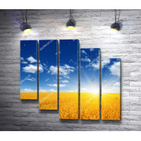 Украинский пейзаж: голубое небо над пшеничным полем 