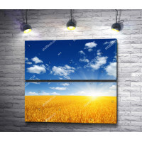 Украинский пейзаж: голубое небо над пшеничным полем 