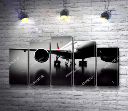 Пассажирский самолет, черно-белое фото