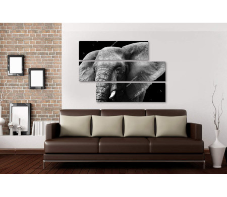 Черно-белое фото слона 