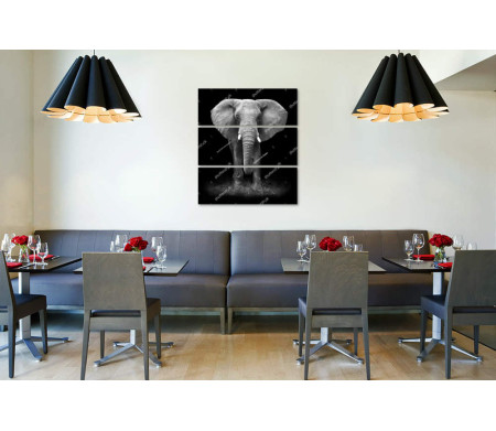 Большой слон, черно-белое фото