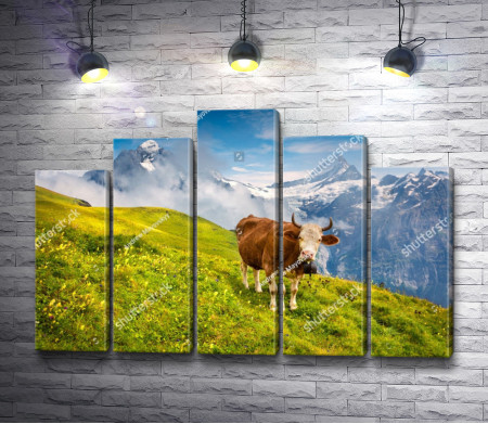 Корова на пастбище на Альпийском лугу 